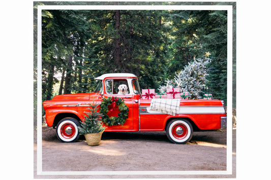 The Holiday Pup Tray by Gray Malin