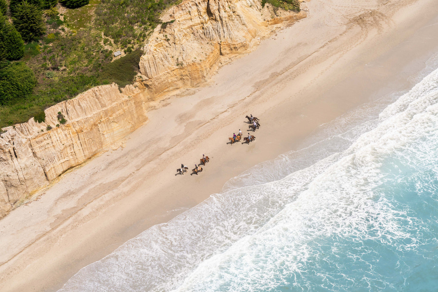 Horseback Riding, Summerland Beach