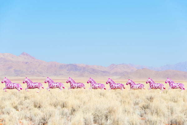 Hot_Pink_Zebras_Balloons_iqgxh