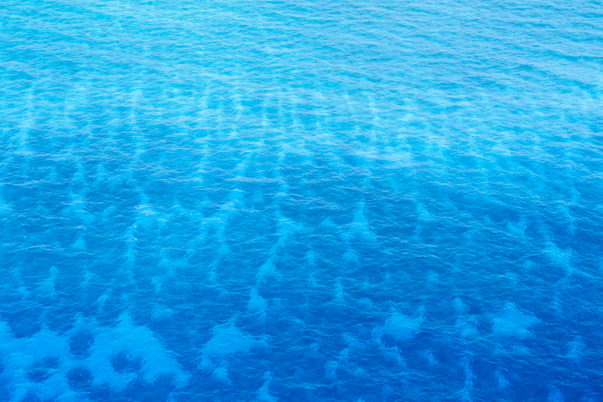 Indigo Depths, Bahamas
