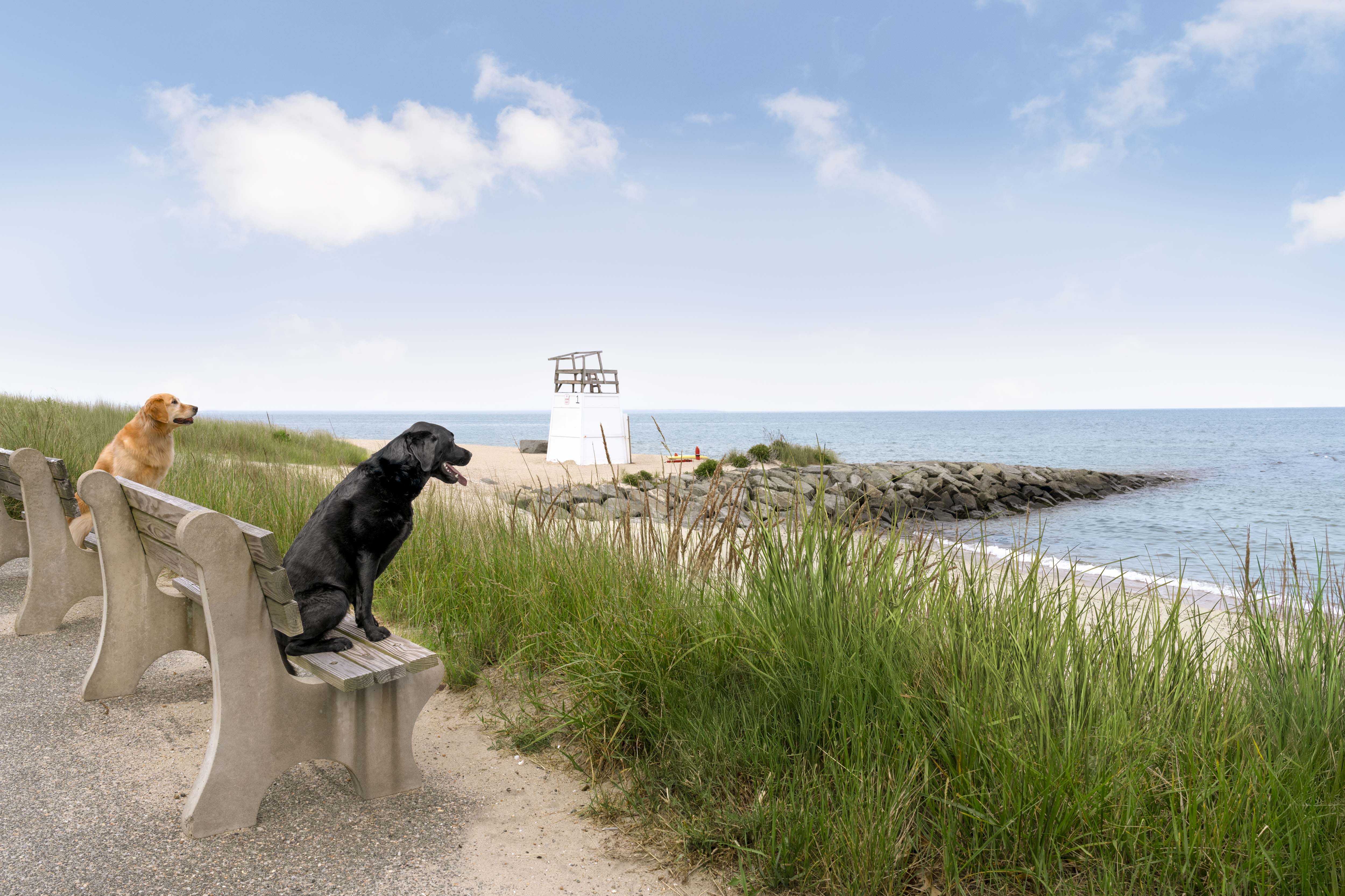 Inkwell Beach, Oak Bluffs, Martha’s Vineyard