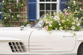 Joy Ride II, Martha’s Vineyard