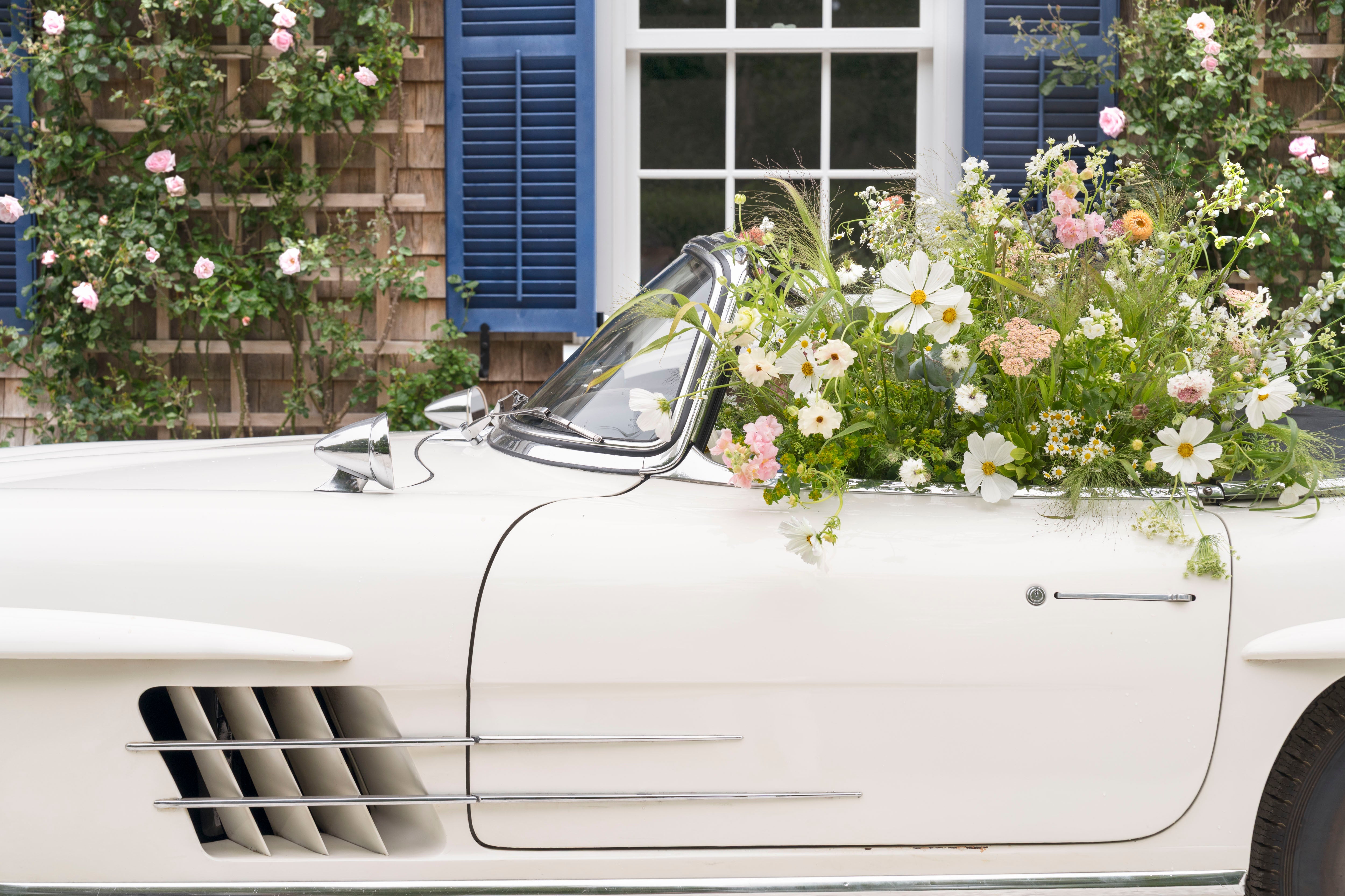 Joy Ride II, Martha’s Vineyard