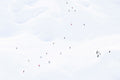 La Plagne Skiers, French Alps