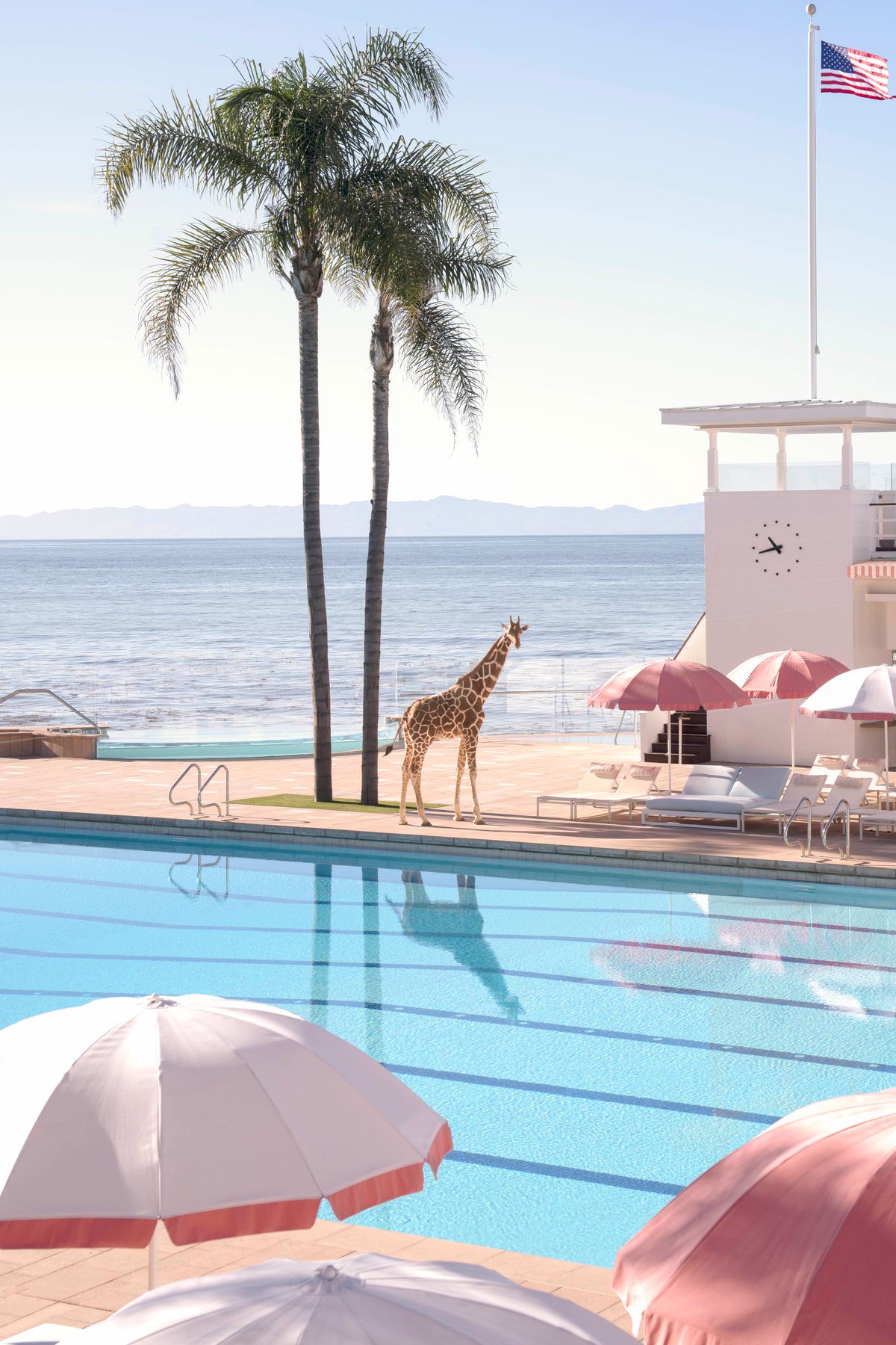 Lifeguard on Duty, Coral Casino