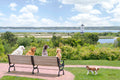 Lighthouse Views, Martha’s Vineyard