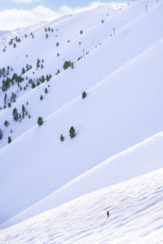 Lone Skier, Sun Valley Bowls