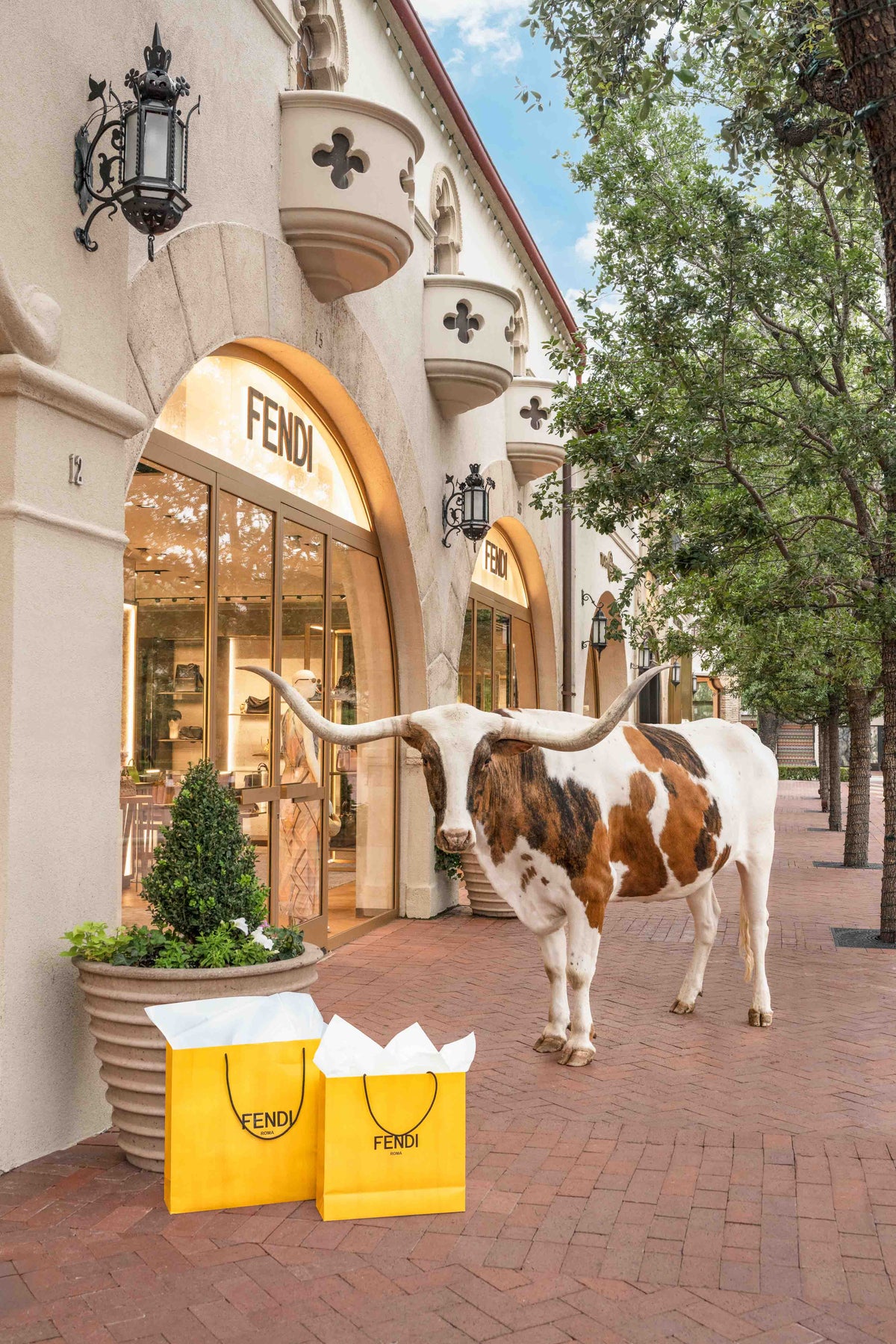 Longhorn Shopping Spree, Highland Park Village