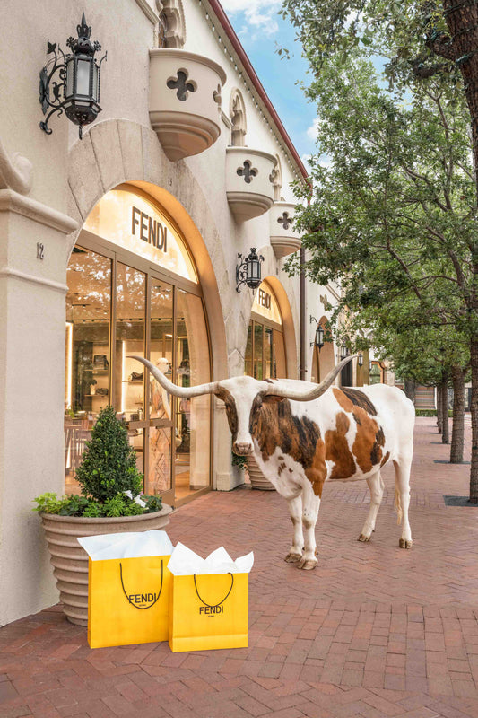 Longhorn Shopping Spree, Highland Park Village
