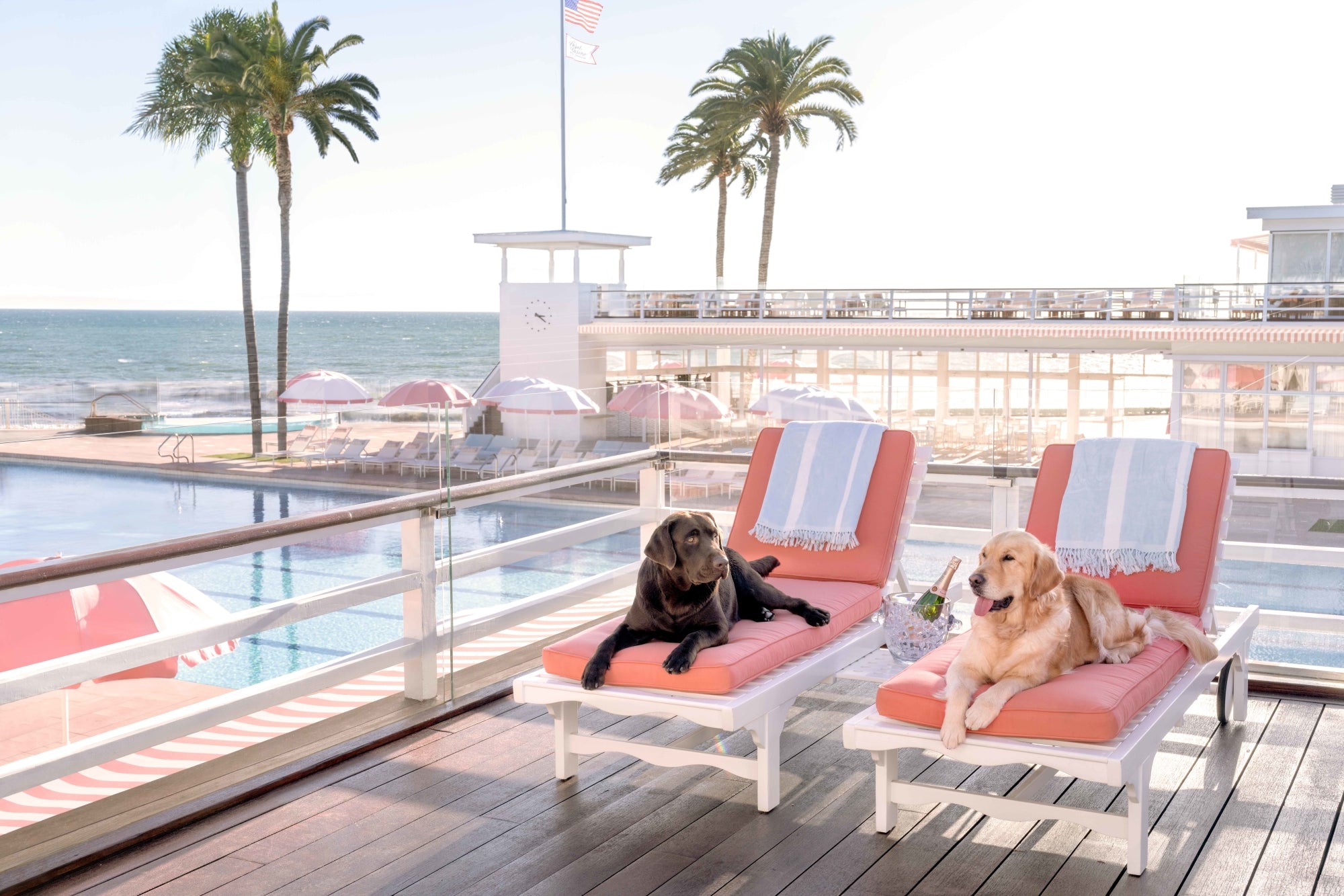 Lounging Ladies, Coral Casino