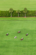 Match Day in Wellington, Polo Club