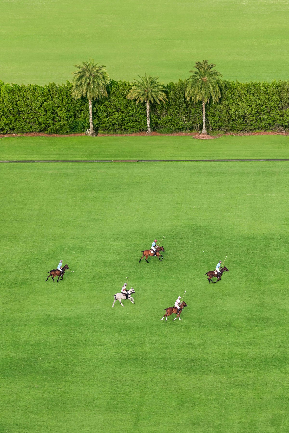 Match Day in Wellington, Polo Club