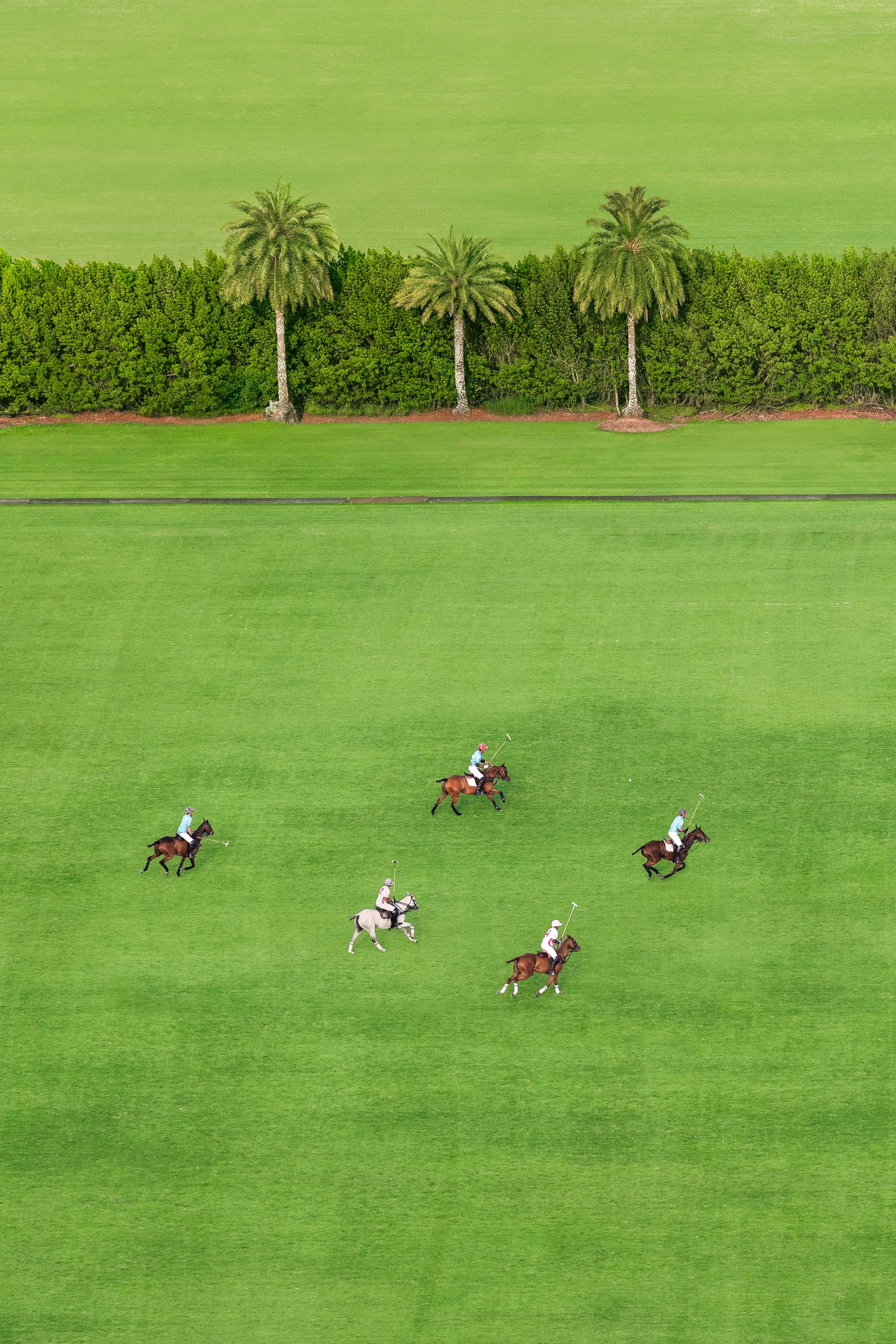 Match Day in Wellington, Polo Club