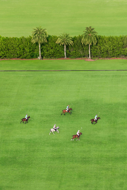 Match Day in Wellington, Polo Club