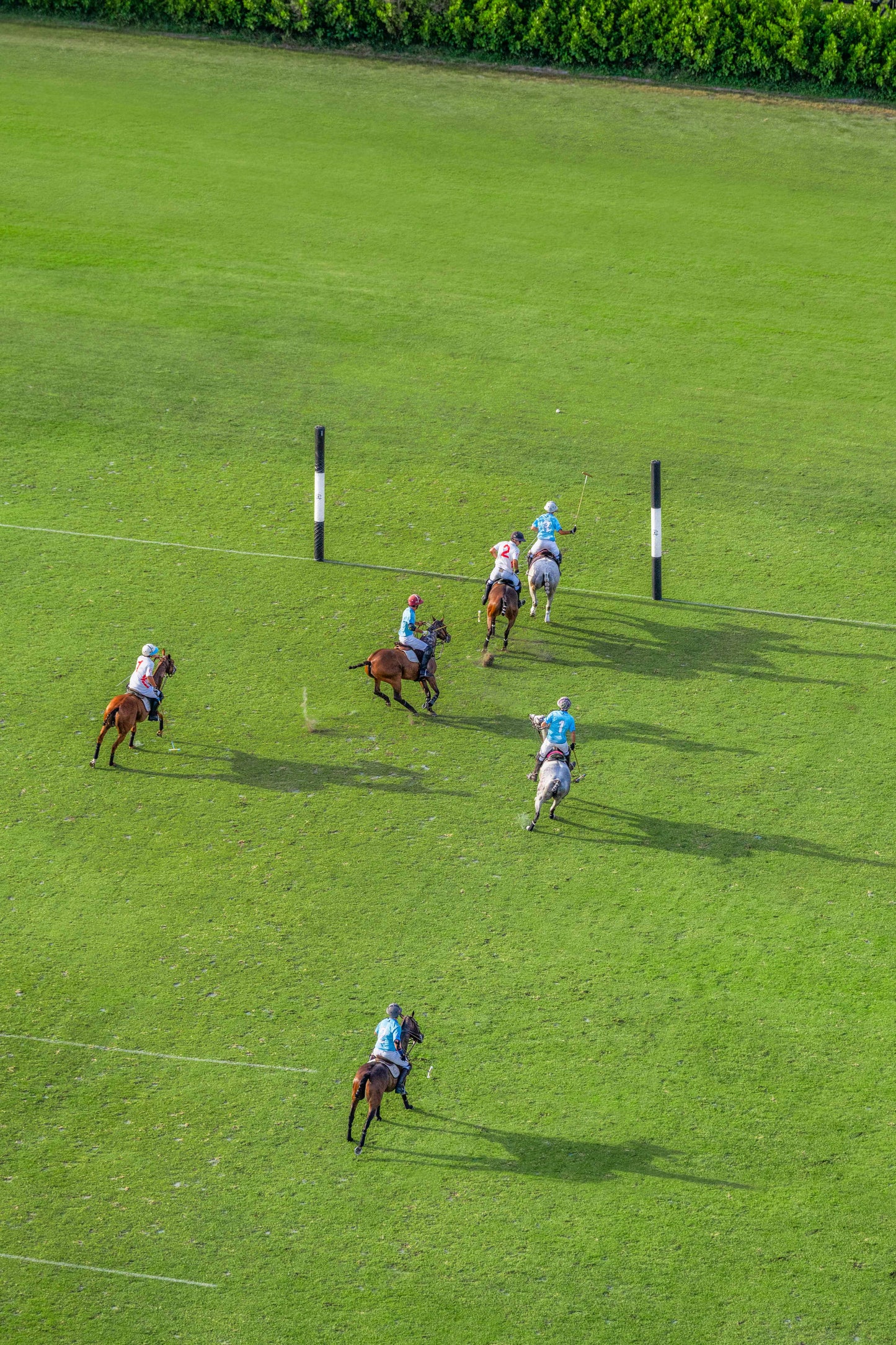 Match Point, Polo Club
