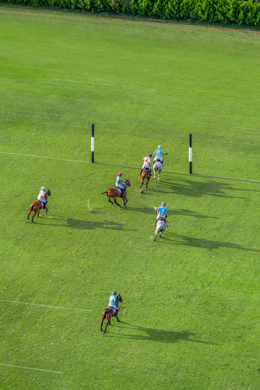 Match Point, Polo Club