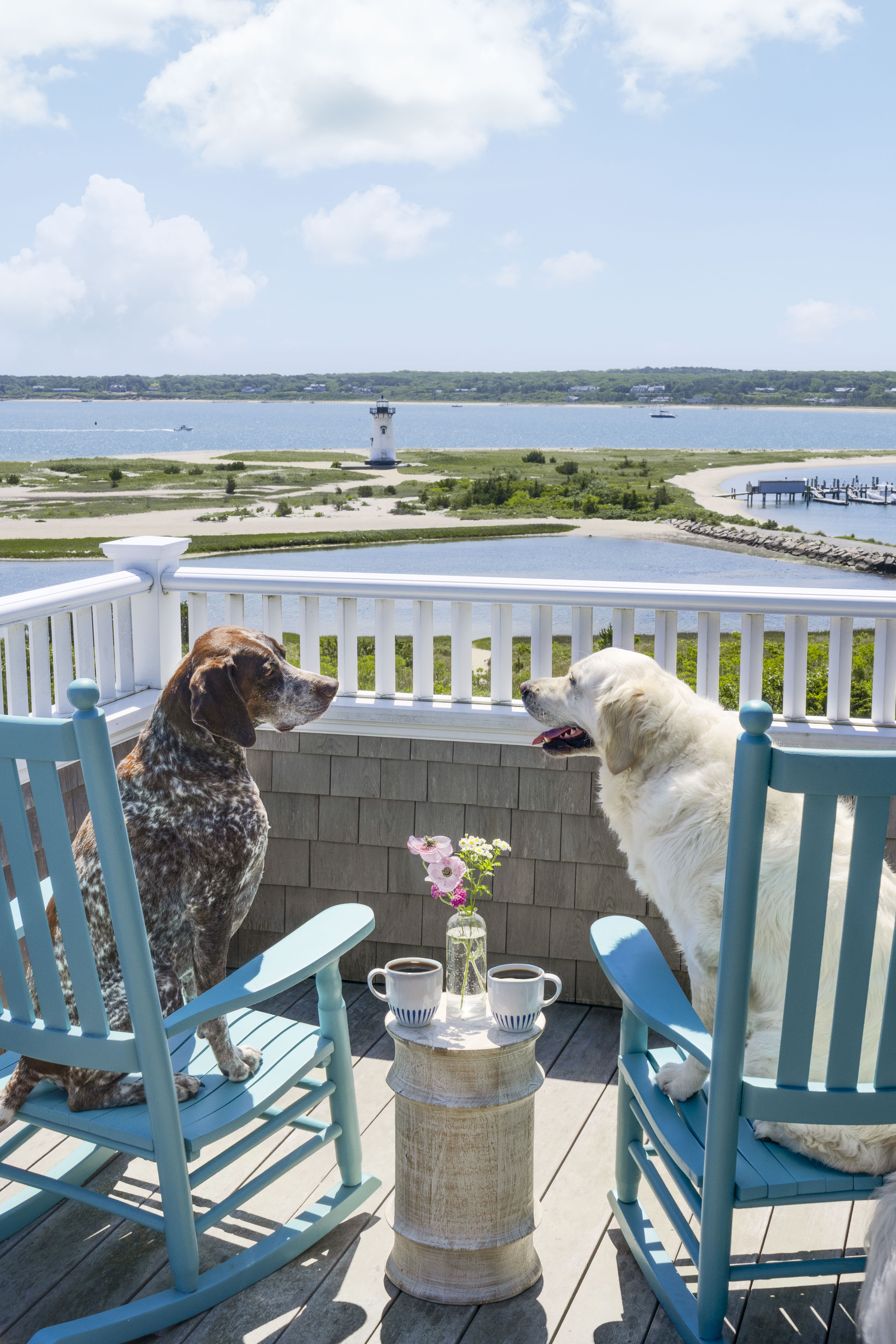 Morning Coffee, Martha’s Vineyard