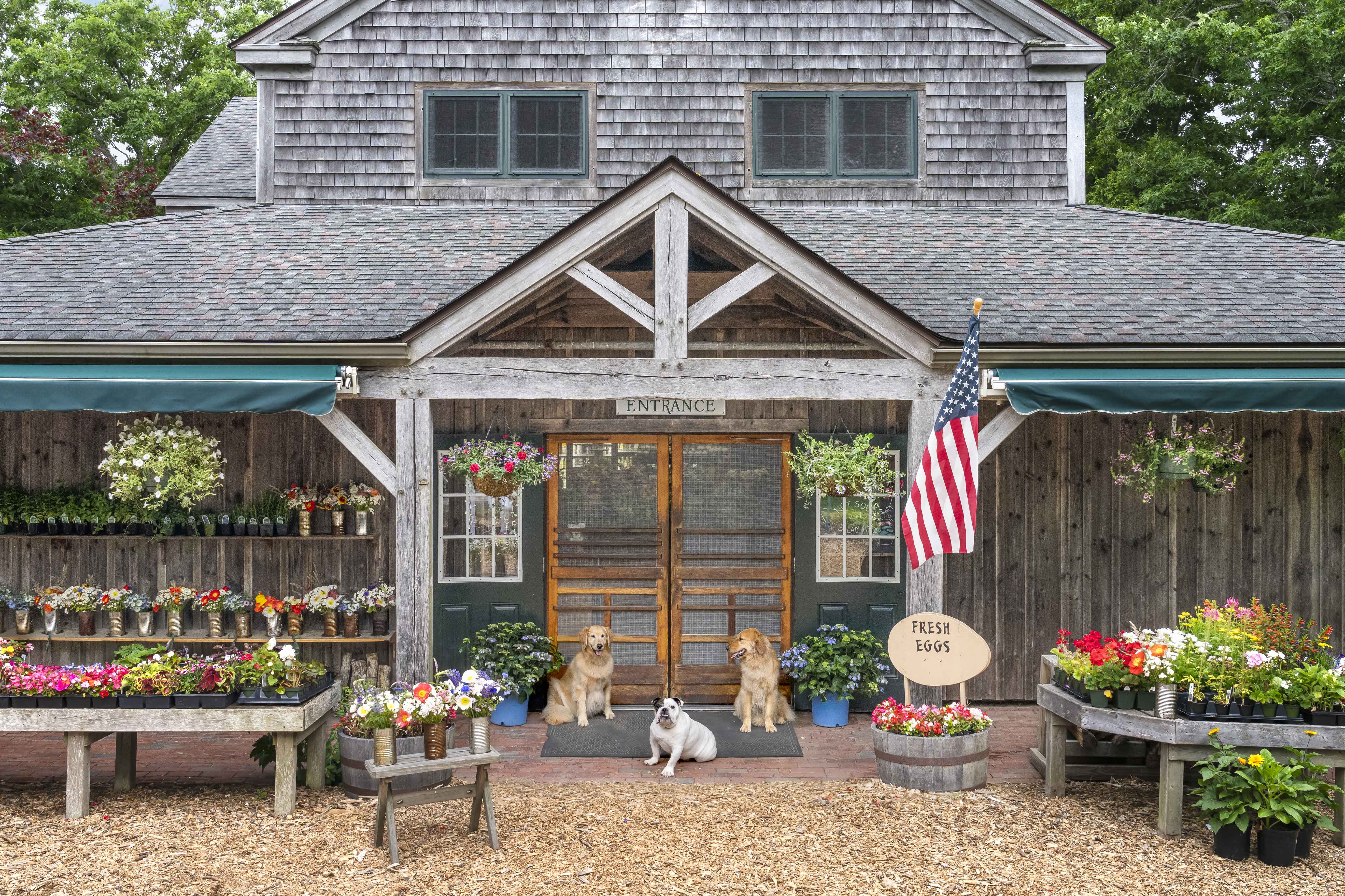 Morning Glory Farm, Martha’s Vineyard