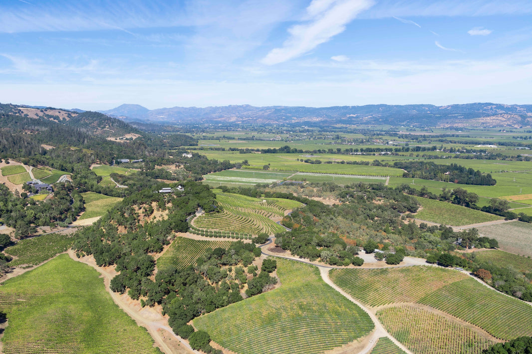 Photography by Gray Malin of Napa Valley Vista