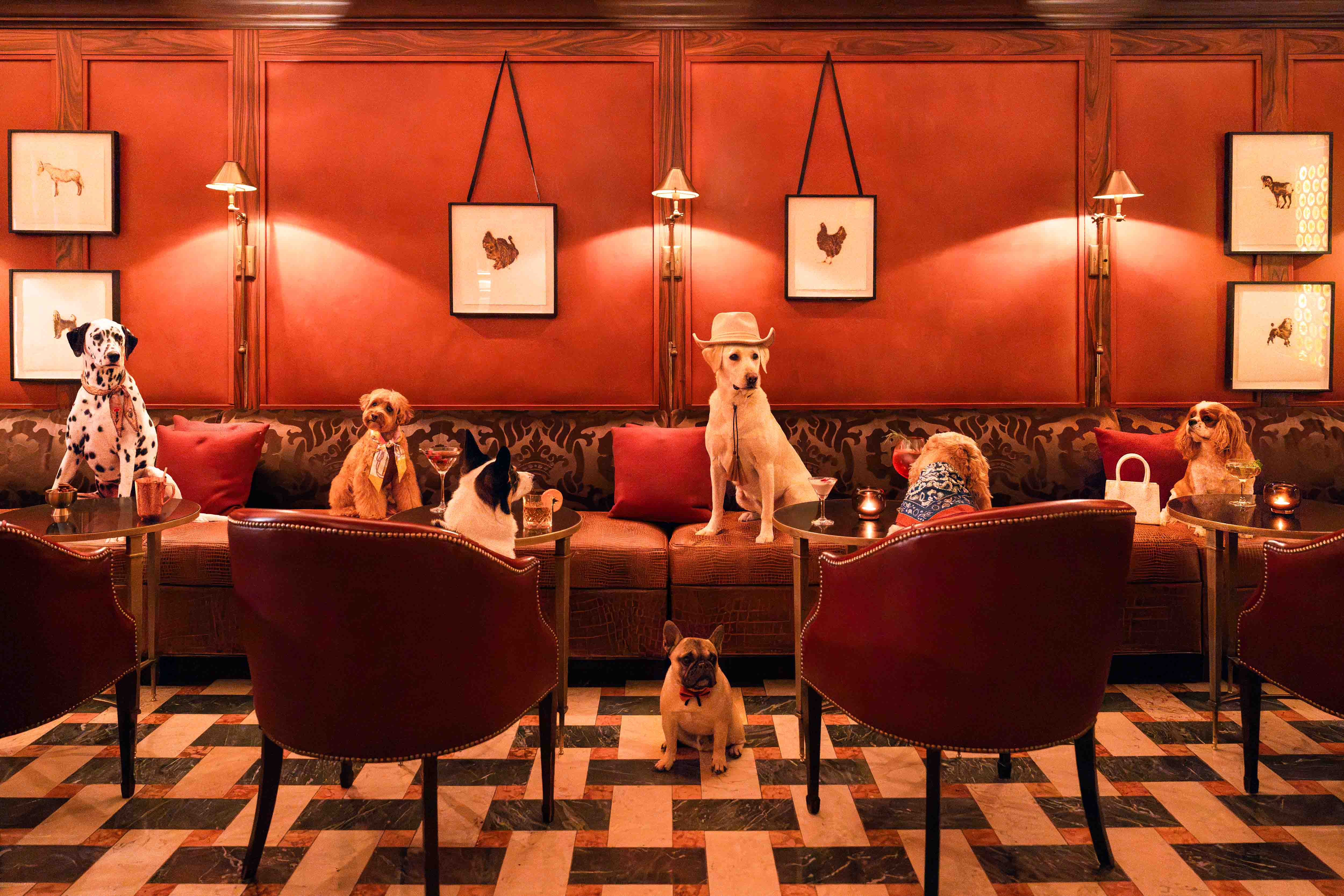 Nightcap at The Mansion Bar