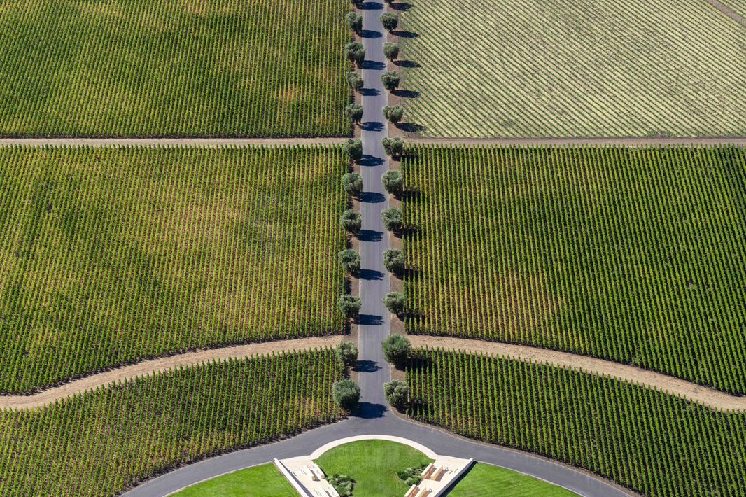 Photography by Gray Malin of Opus One Winery, Napa Valley