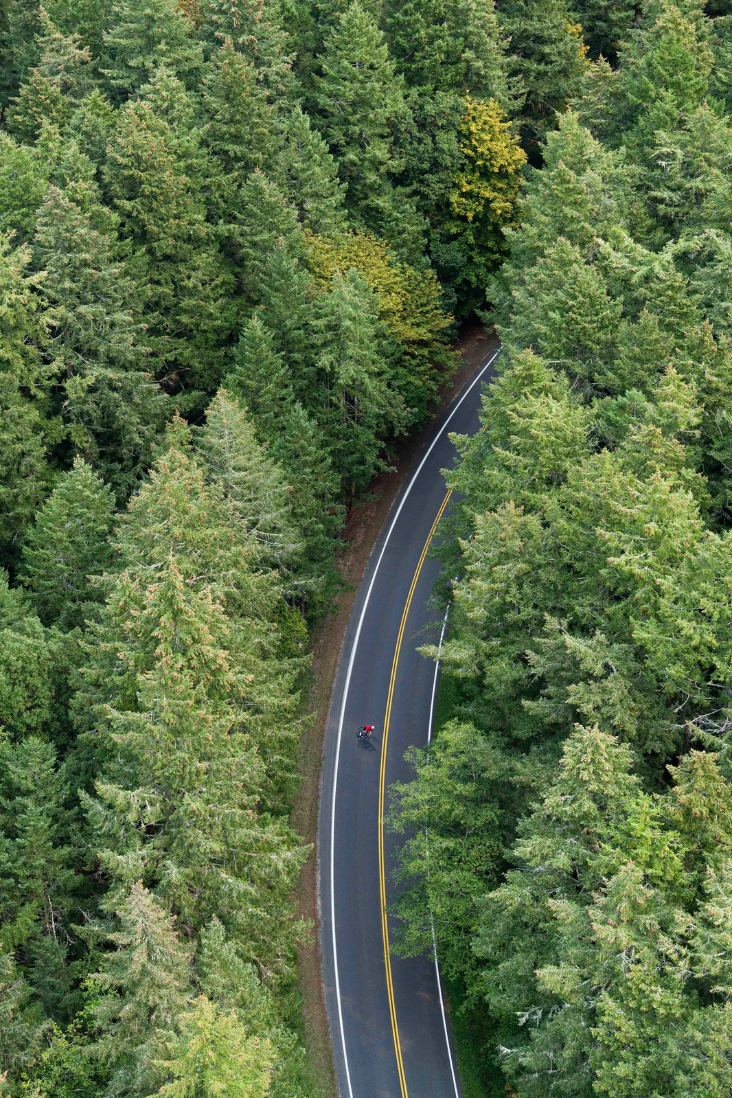Photography by Gray Malin of Orcas Island Bike Ride, Puget Sound