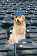 Outfield Snack