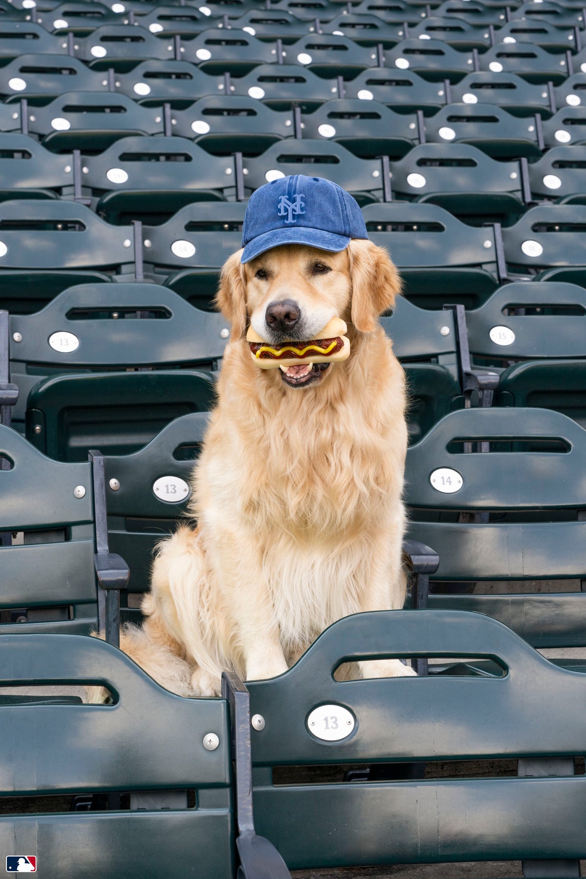 Outfield Snack