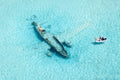 Pablo Escobar's Plane Wreck, Norman’s Cay, Bahamas