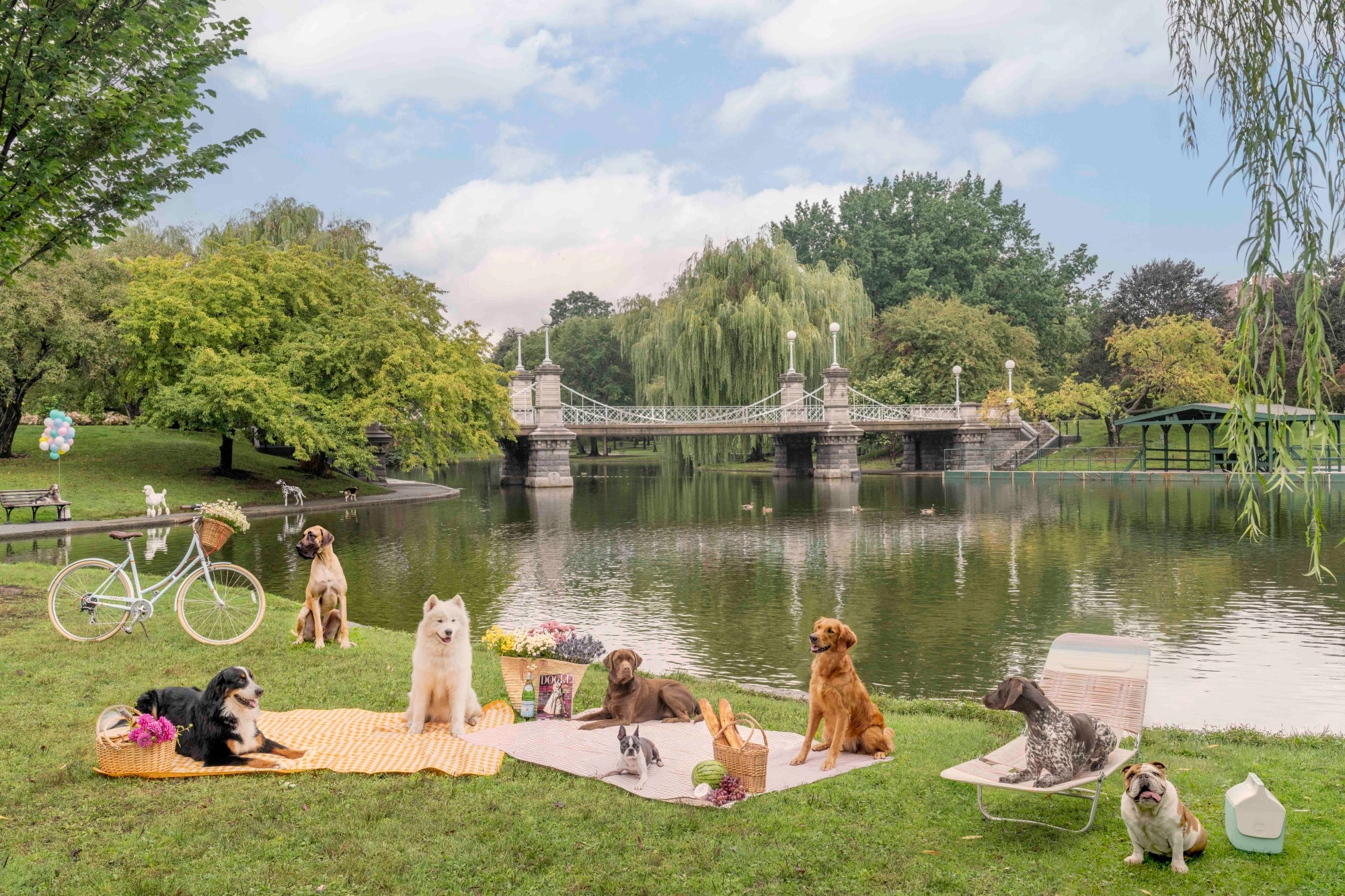 Picnic Party, Boston Public Garden