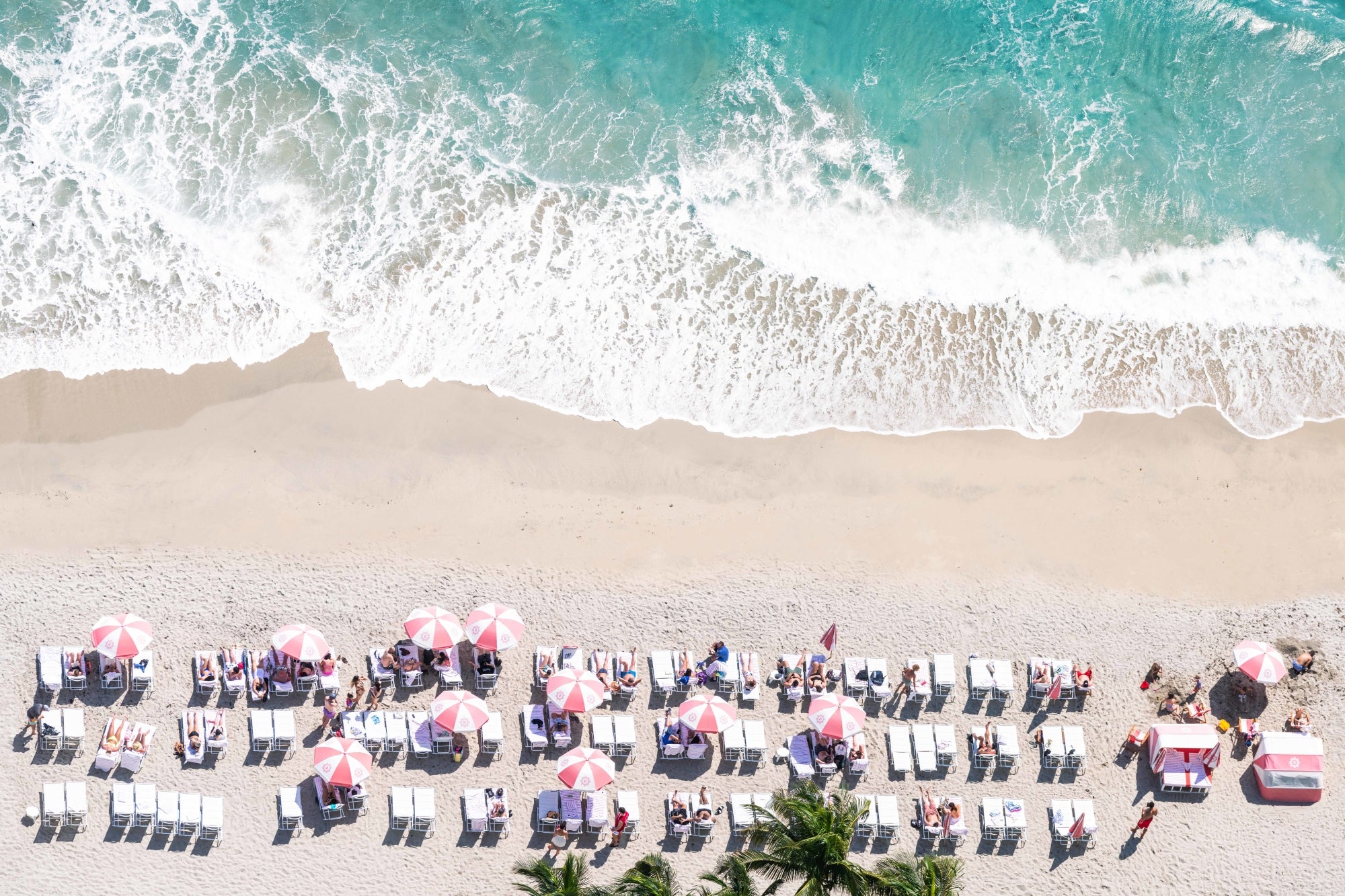 Pink Umbrellas, Hollywood Beach, Florida