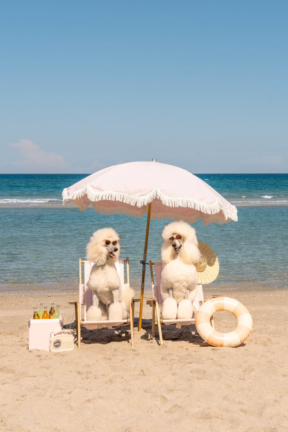 Poodle Pals, Palm Beach