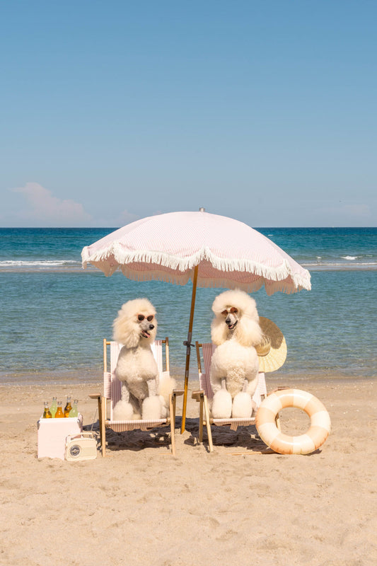 Product image for Poodle Pals, Palm Beach