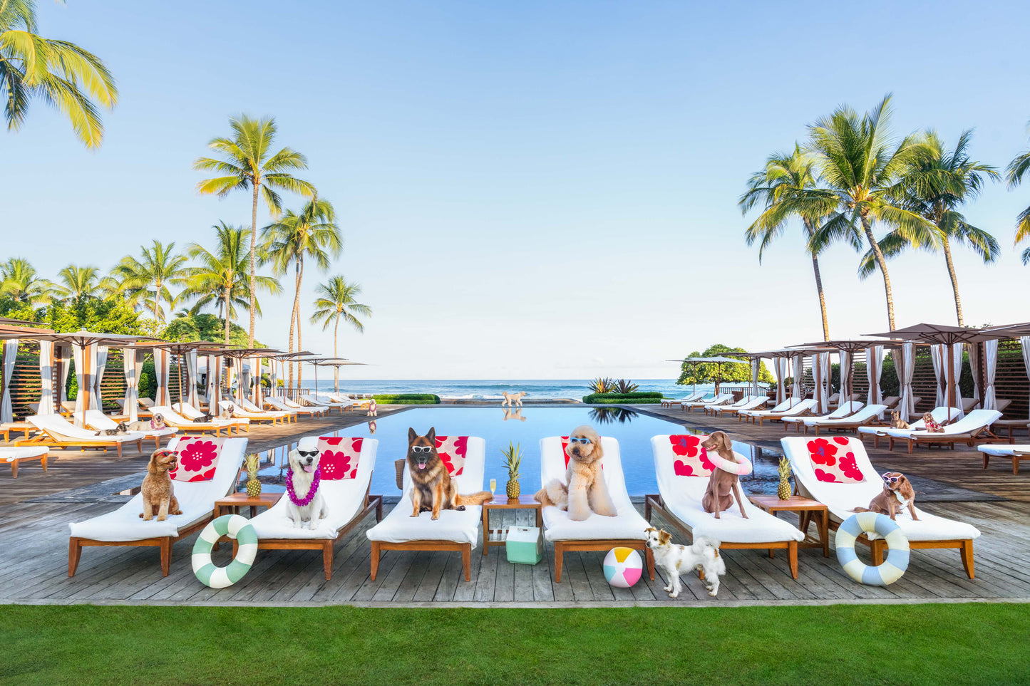 Pool Day, Four Seasons Hualalai, Hawai’i