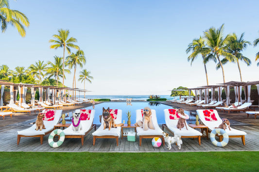 Pool Day, Four Seasons Hualalai, Hawai’i