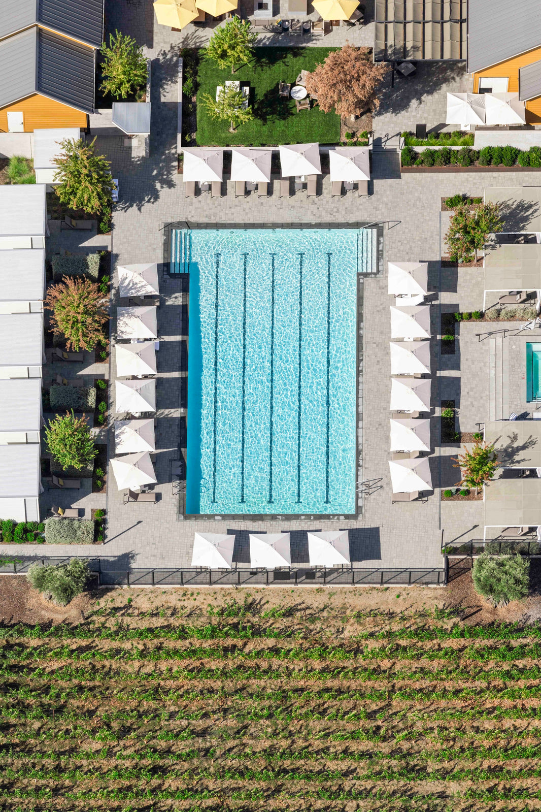 Photography by Gray Malin of Pool Day, Four Seasons Resort, Napa Valley