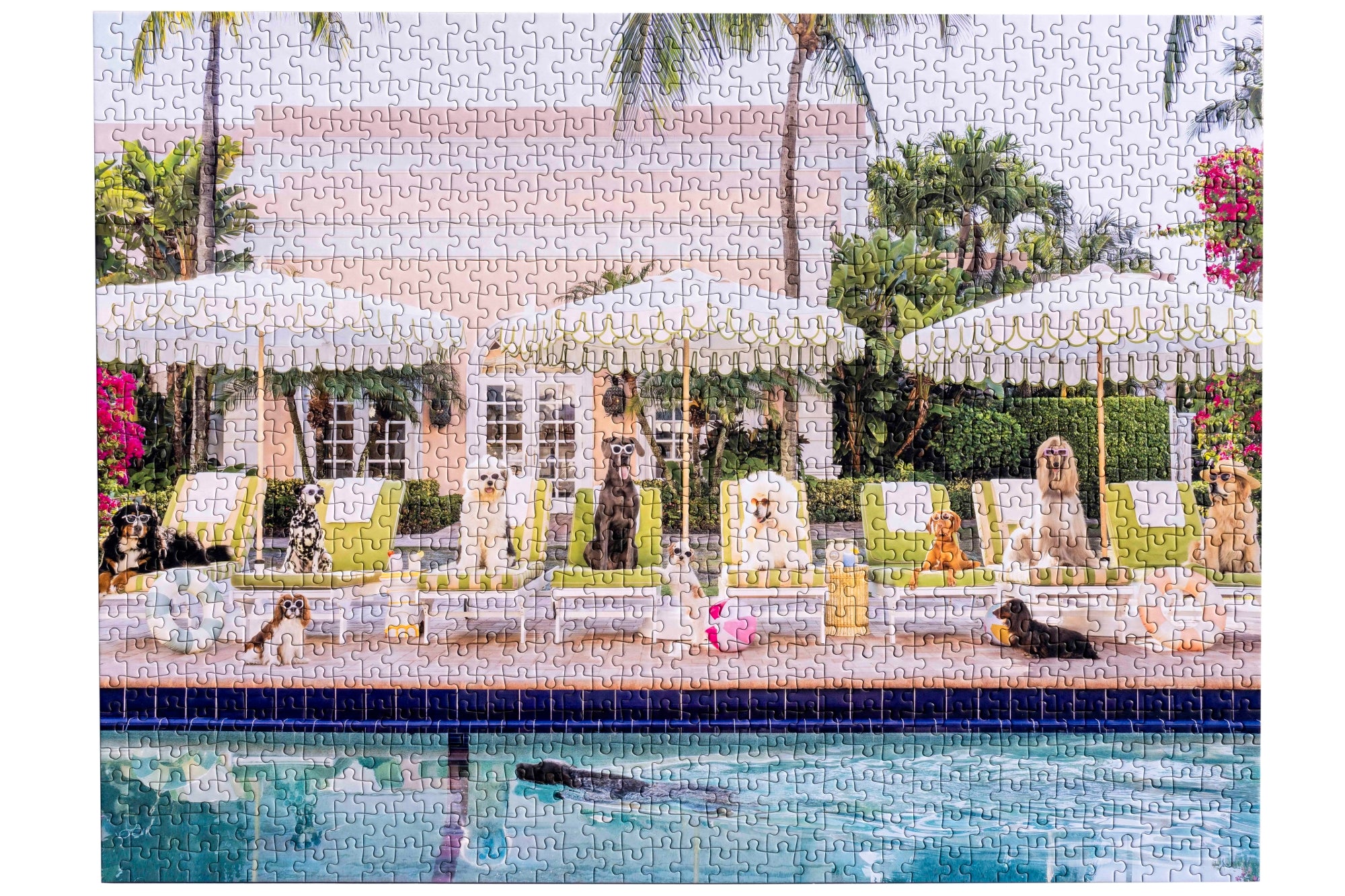 Gray Malin Palm Beach 1000 Piece Book Box Puzzle