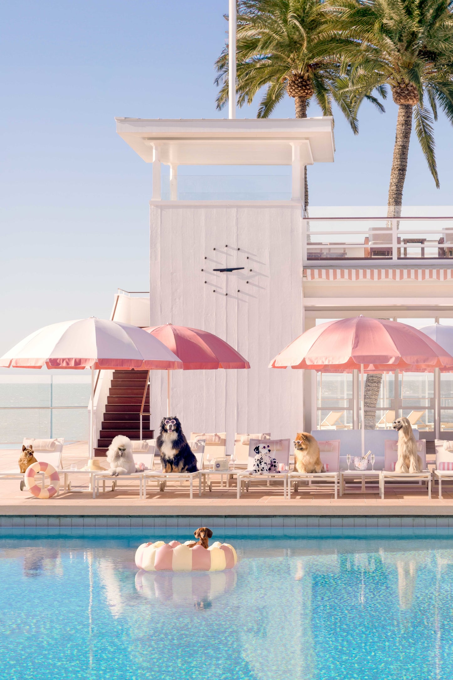 Pool Day Vertical, Coral Casino