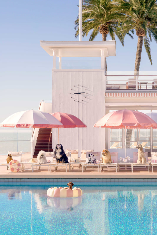 Pool Day Vertical, Coral Casino