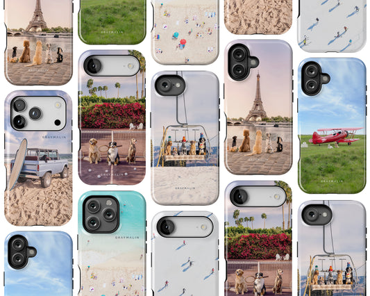 The Paris Dogs iPhone Case by Gray Malin