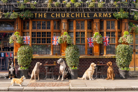 Pups at the Pub, The Churchill Arms, London