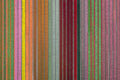 Rainbow Rows, Dutch Tulip Fields, Netherlands