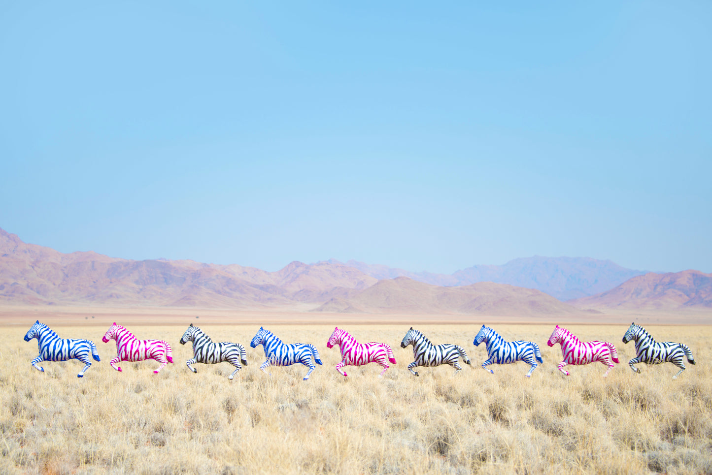 Rainbow Zebras Balloons