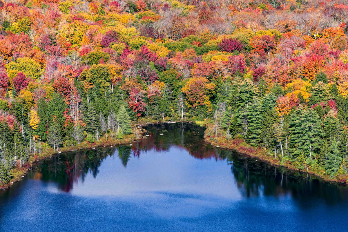 Reflections of Fall, New Hampshire
