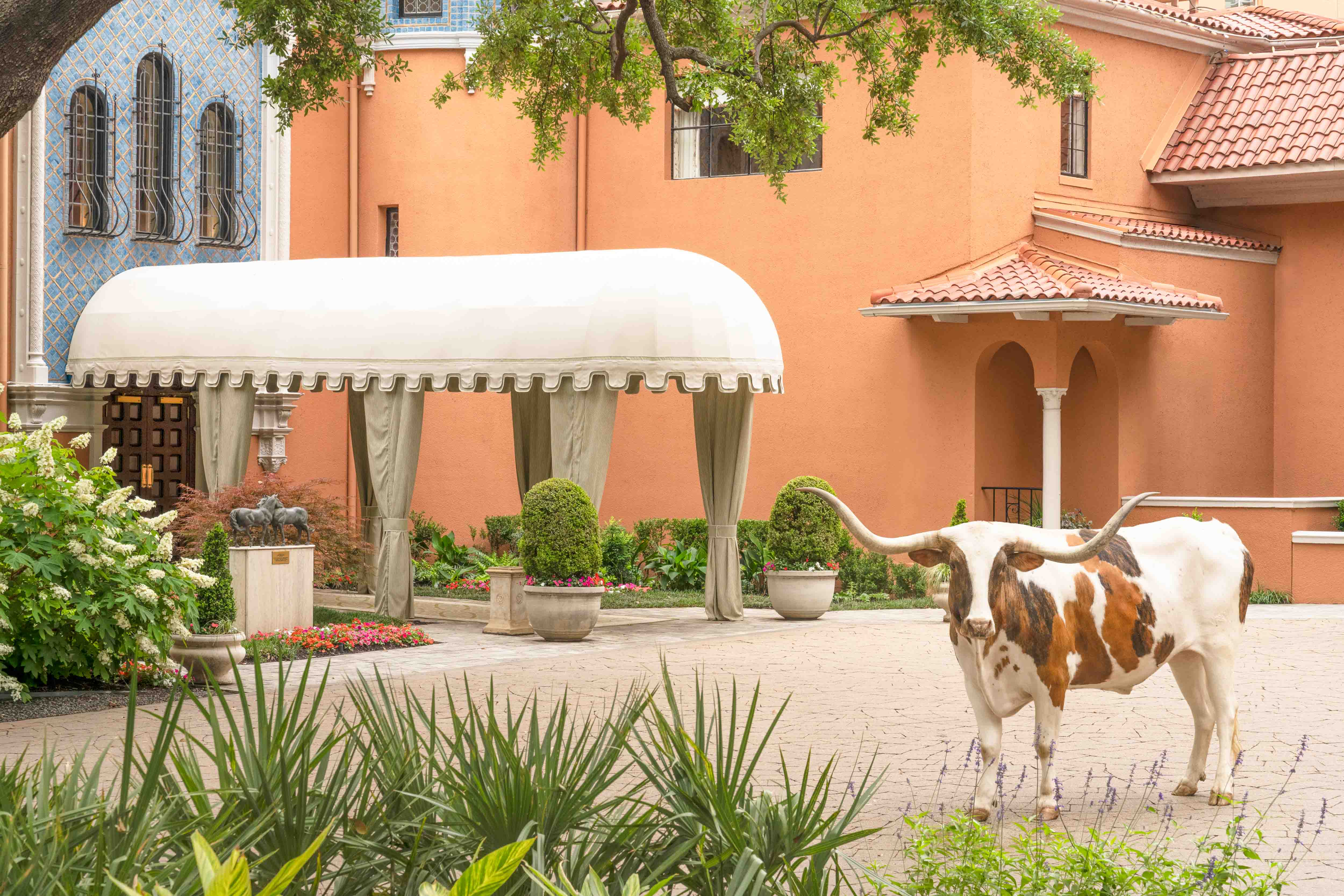 Reservation for One, Mansion Restaurant