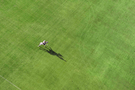 Rider in Pursuit, Polo Club