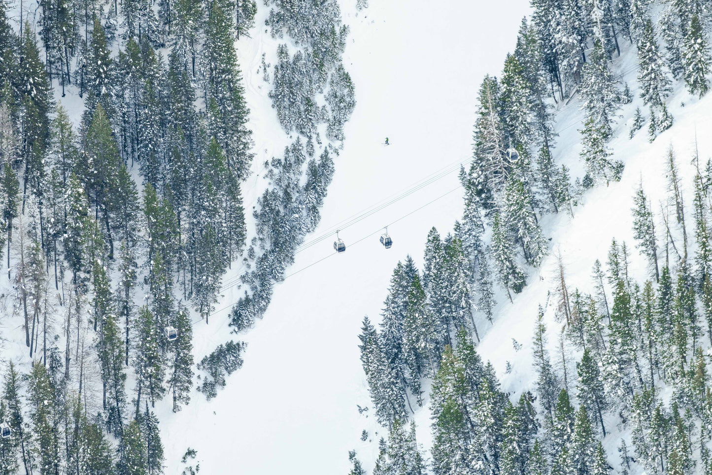 Roundhouse Express, Sun Valley