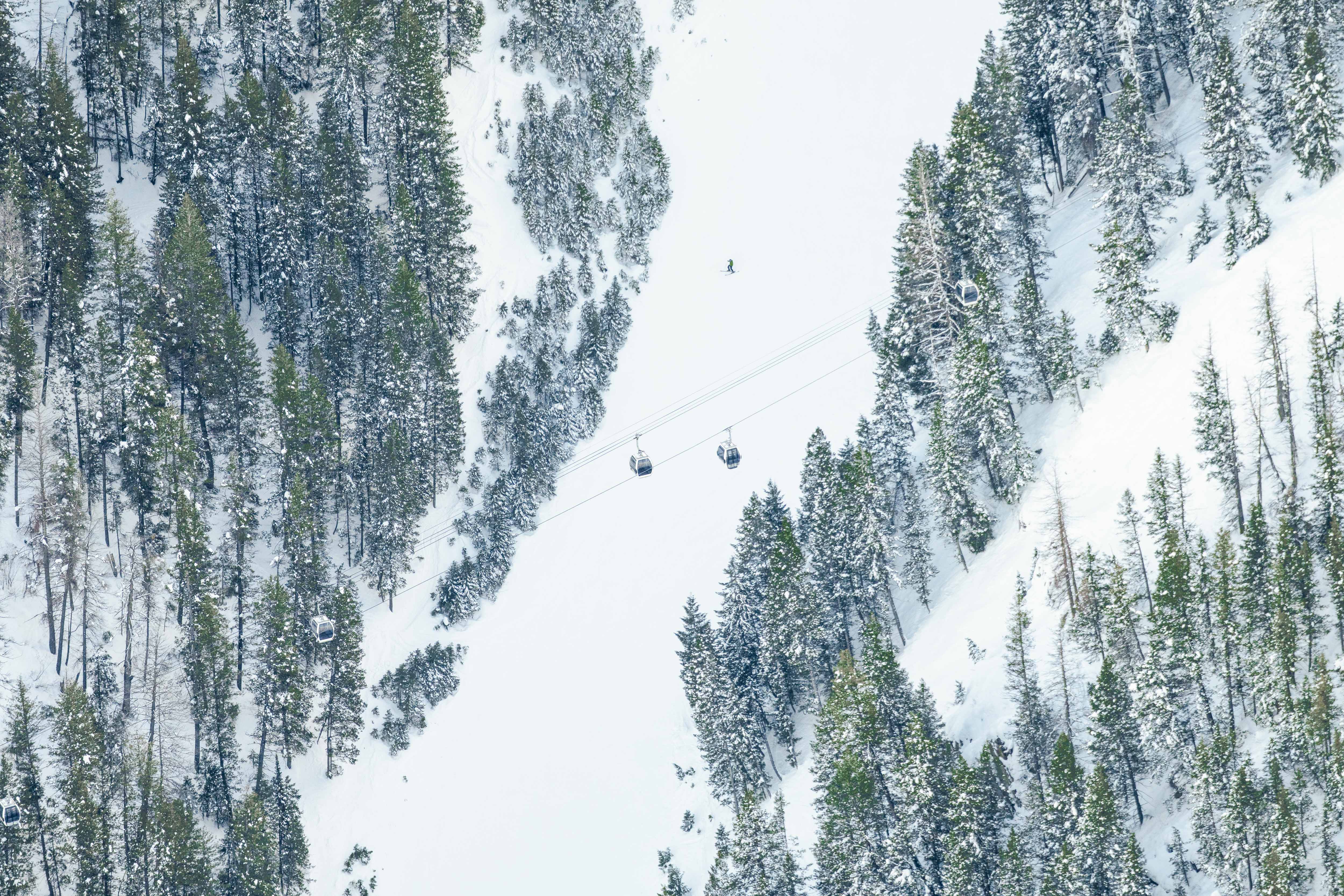 Roundhouse Express, Sun Valley