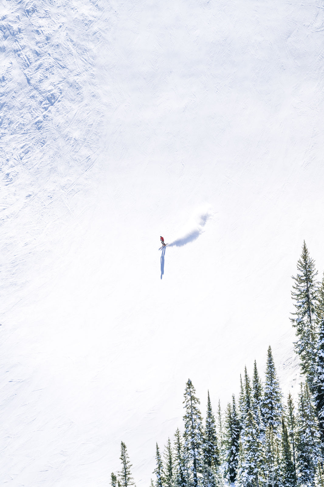 Runaway Run Skier, Big Sky, Montana by Gray Malin