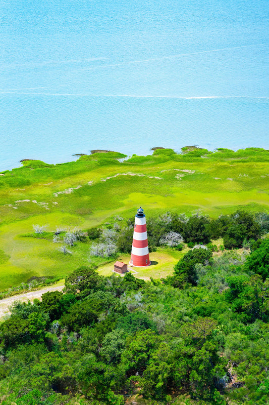 Sapelo Island Lighthouse Vertical, Georgia